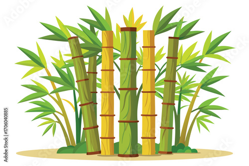 Lush Bamboo Grove Vector Illustration with Tall Green Stalks and Vibrant Foliage