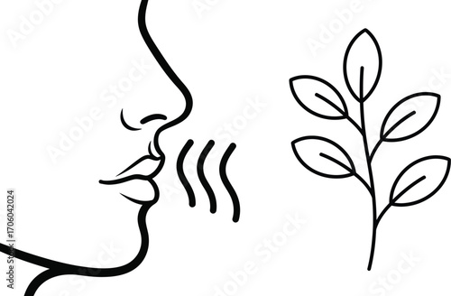 Aromatherapy scent smell fragrance essential oil aroma therapy spa
