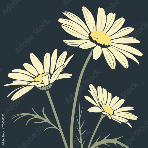 An elegant illustration of three white daisies with yellow centers and green stems against a dark, solid background.