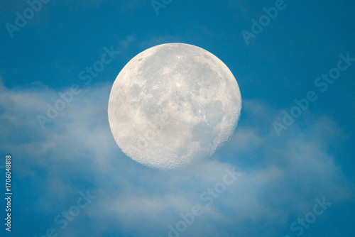 Fototapeta Naklejka Na Ścianę i Meble -  Detailed close-up of a full moon at dawn, slightly obscured by clouds