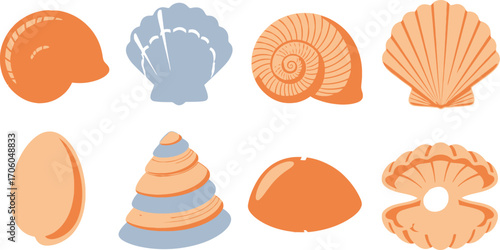 Assorted Flat Seashells Collection Set with Varying Colors on a White Background