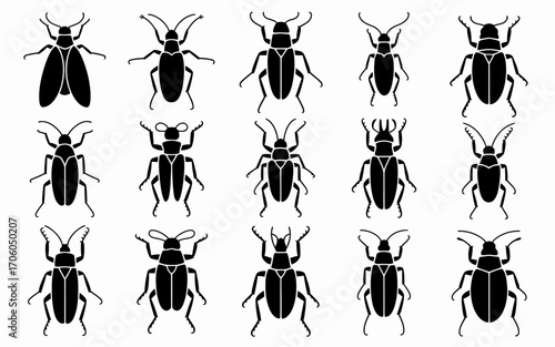 Vector art of collection of beetle silhouettes in vector format