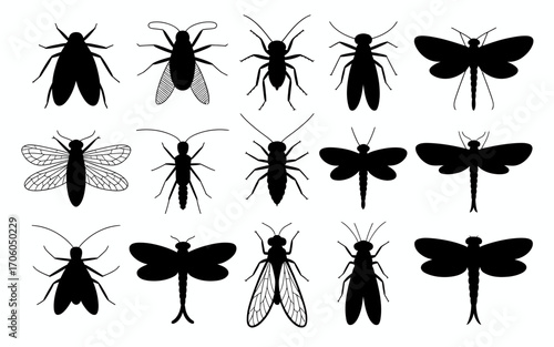 Vector art of collection of various insect silhouettes