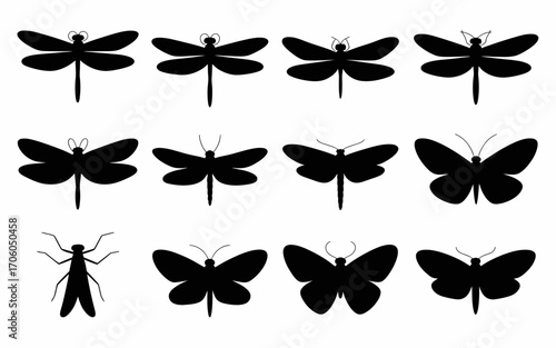 Vector art of collection of insect silhouettes for design use