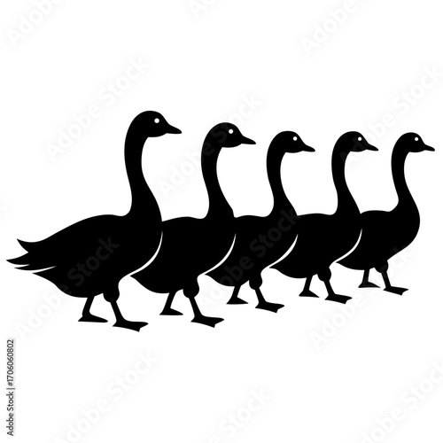 Five black geese standing in a row silhouette