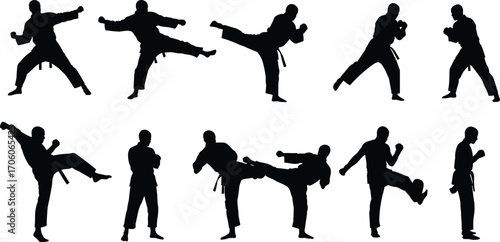 Martial arts silhouettes, karate poses, fighting stances, kicks and punches, self-defense training, combat moves, discipline, strength, flexibility, focus, action.