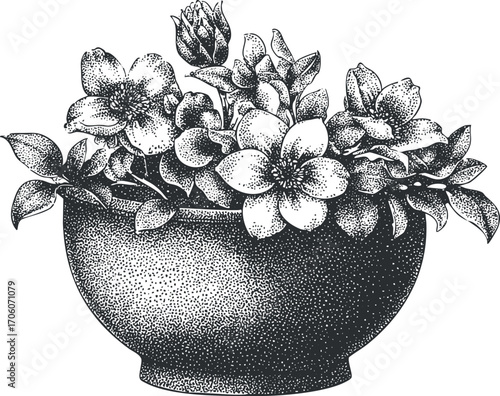A detailed black and white illustration of flowers arranged in a decorative bowl.
