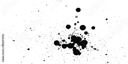 Small gray bird in a white background ready for illustration usage