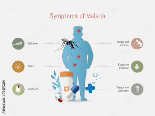 Malaria Symptoms with Medical Illustrations