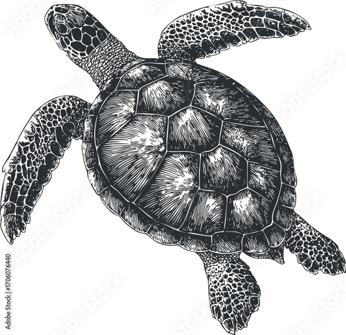 Detailed illustration of a swimming turtle showcasing its unique shell and fins.