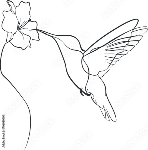 A minimalist line art illustration of a hummingbird hovering near a flower.