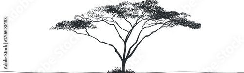 A striking silhouette of a tree against a white background illustrating nature and tranquility.