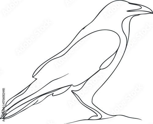 Stylized line art illustration of a bird showcasing elegance and simplicity in design.