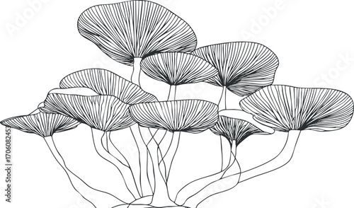 Stylized black and white illustration of mushrooms with intricate line details and organic shapes.
