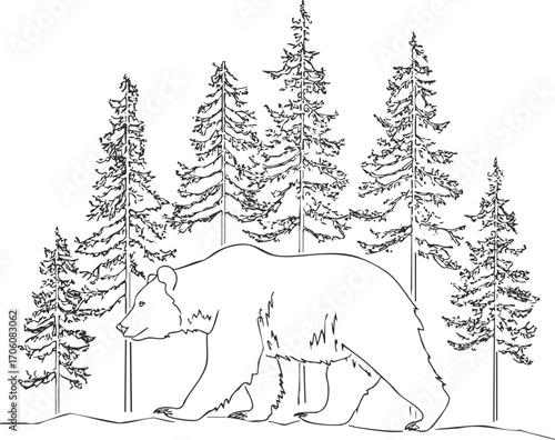 A detailed line art illustration of a bear walking in a forest of tall trees.