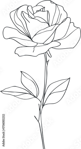 A minimalist line art illustration of a rose with elegant petals and leaves.