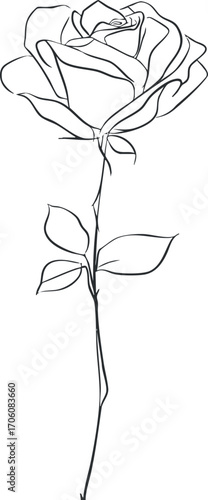 A minimalist line art illustration of a single elegant rose with stem and leaves.