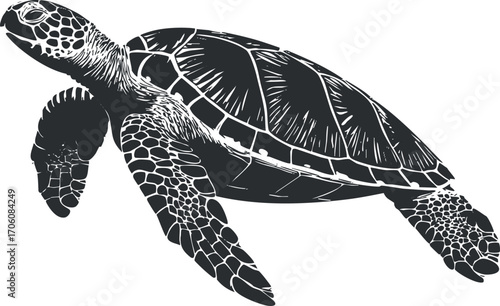 A detailed illustration of a sea turtle swimming gracefully in the ocean.