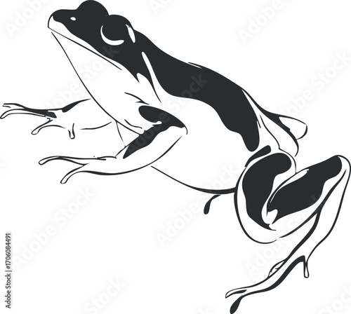A whimsical illustration of a green frog resting on its front legs in a natural pose.