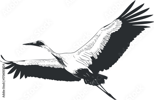 A graceful illustration of a crane in flight showcasing its elegant wings and feathers.