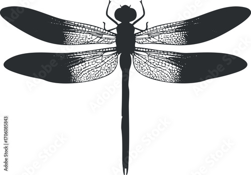 Illustration of a dragonfly silhouette showcasing intricate wing patterns and details.