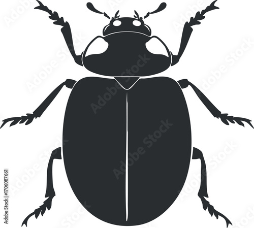 A detailed silhouette illustration of a beetle showcasing its anatomy and features.