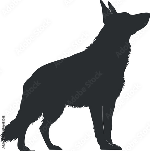 A silhouette of a dog standing proudly outdoors, showcasing its alert and loyal nature.