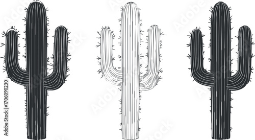 Three stylized cacti illustrations in black and white showcasing unique shapes and details.