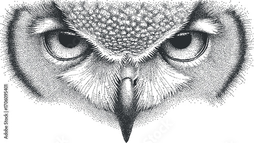 Detailed illustration of an owl's face highlighting its intense gaze and intricate feather patterns.