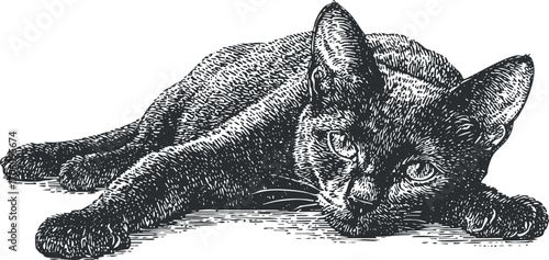 Illustration of a relaxed black cat laying down with a charming expression on its face.