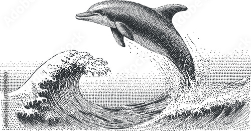 A detailed illustration of a dolphin jumping over ocean waves showcasing marine beauty.