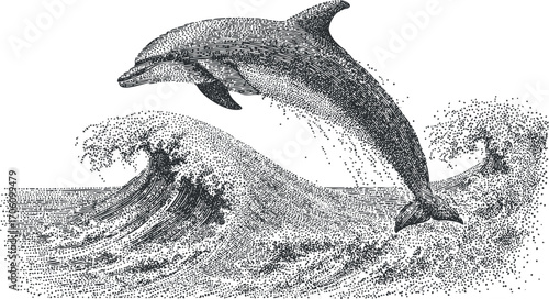 A detailed illustration of a dolphin jumping over ocean waves, showcasing marine life and nature.