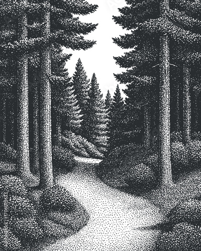 A detailed black and white illustration of a serene forest path surrounded by tall trees.
