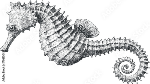 Detailed illustration of a seahorse showcasing its unique shape and aquatic features.