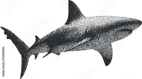 A stylized black and white illustration of a shark swimming in the ocean.
