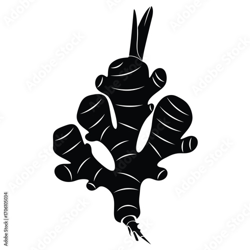 Ginger root silhouette with textured knobs and shoots on a white background. EPS 10.