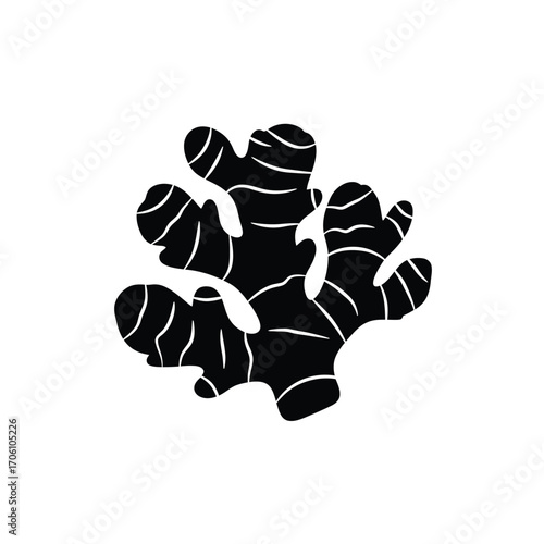 Ginger root silhouette with textured segments and highlights on a white background. EPS 10.