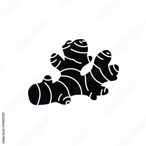 Ginger root silhouette with textured segments and highlights on a white background. EPS 10.
