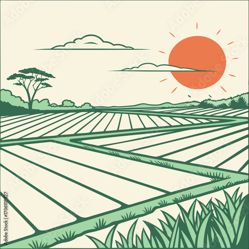 Stylized illustration of a sunlit agricultural landscape with terraced fields and a lone tree under a cloudy sky
