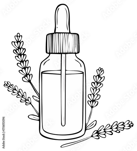 Lavender essential oil in a glass dropper bottle with flower sprigs line art illustration