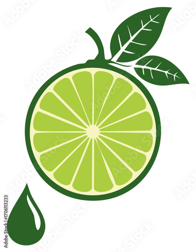 Fresh citrus lime fruit slice with green leaves and a falling juice drop vector icon