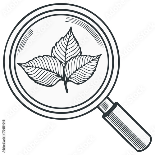 Magnifying Glass Inspecting Leaves Plant Outline Icon Illustration