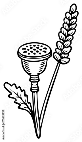Poppy Seed Head and Lavender Flower in Black and White Outlined Design
