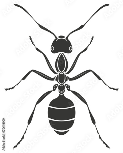 Detailed Ant Illustration, Insect Design, Entomology Graphics, Wildlife Art