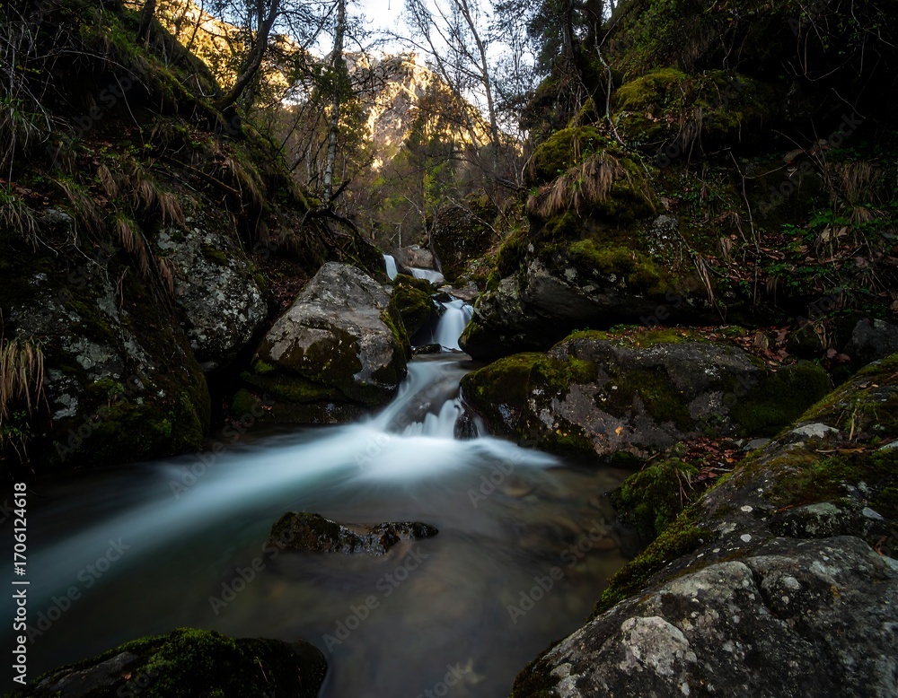 Obraz premium Mountain stream cascading over rocks