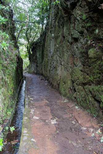 Tunnel through mountain on Vereda dos Balcoes Levada Trail in Ribeiro Frio, Madeira