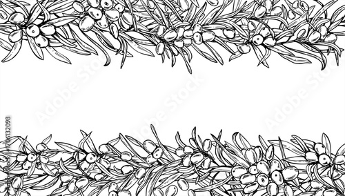Sea buckthorn vector isolated horizontal border painted by black inks. Juicy autumn seaberry on branch with leaves rectangle frame with copy space for text. Sand thorn frame for fall invitations