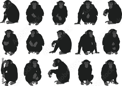 Chimpanzee illustrations, sitting and posing chimpanzees, wild primates, animal behavior, wildlife art, monkey poses, nature vector, primate collection, ape silhouettes, chimp drawing