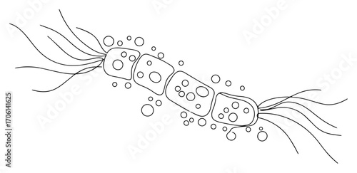 Rod‑shaped bacteria chain with flagella, microscopic pathogenic microbe illustration – vector graphic