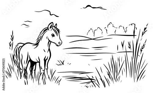 Wild horse standing by marshy lake among reeds, tranquil countryside nature scene – vector illustration
